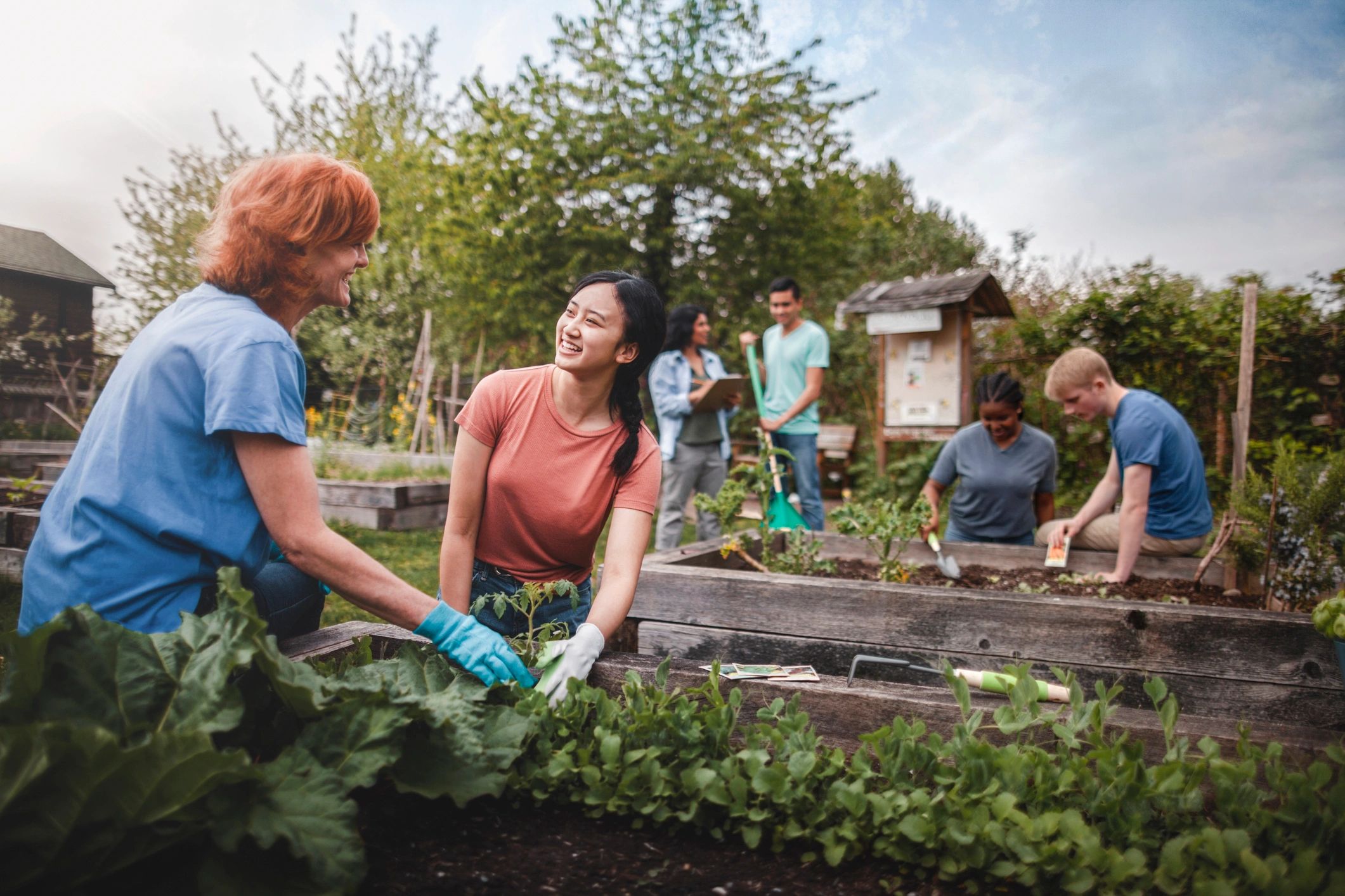 Volunteers planting in community garden